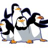The Penguins